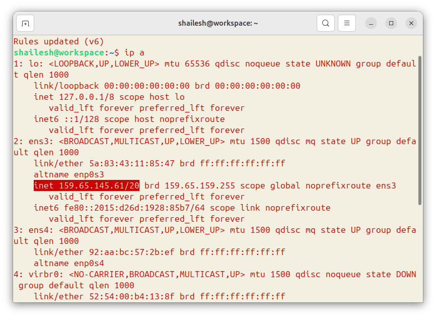 check ipv4 address for remote access