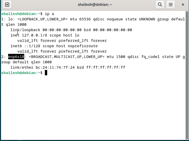 check current networking hardware using "ip a" command