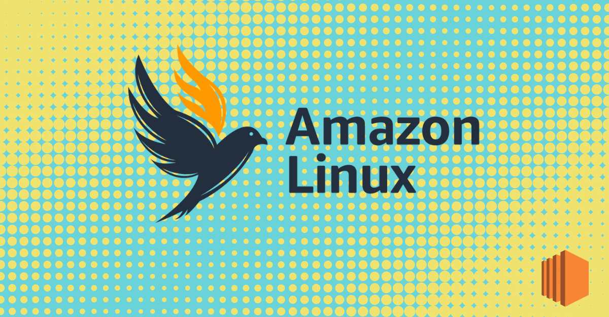Amazon Linux 2023 : The latest aws Linux private cloud