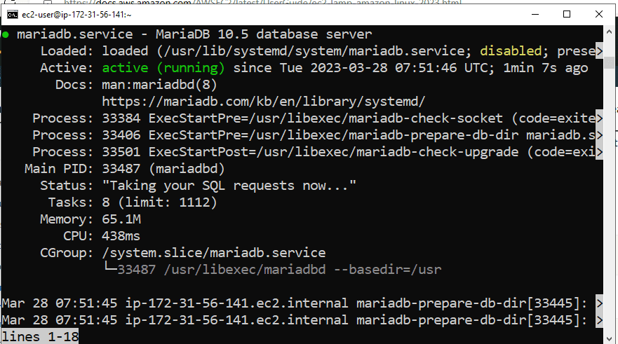 mariadb server status