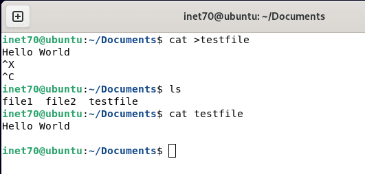creade file with cat